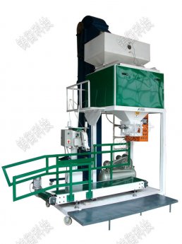 ���P���Ӷ����Ӄr��